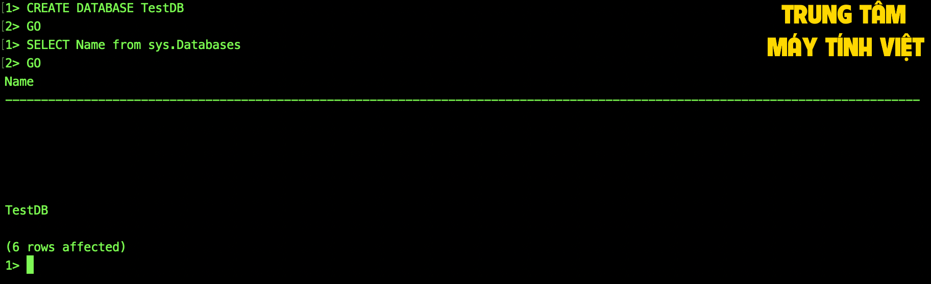 Hổ Trợ Cài đặt Sql Server 2024 Dùng Vĩnh Viễn