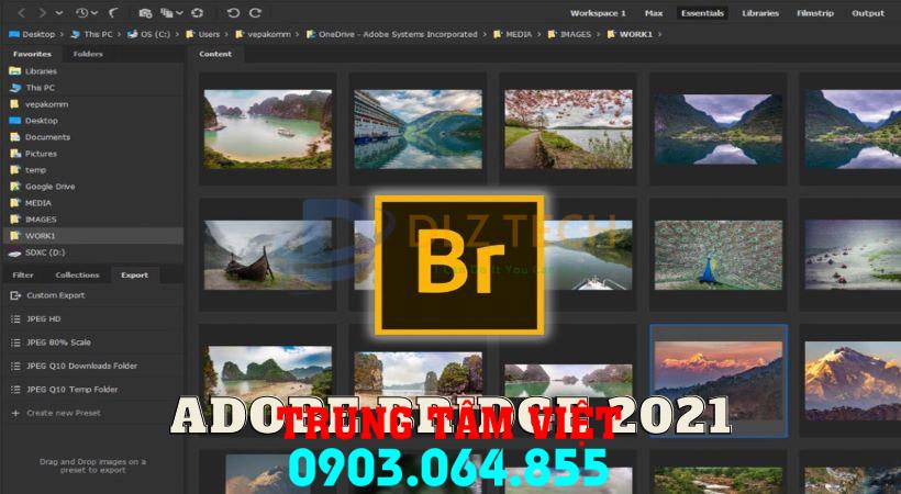 Hổ Trợ Cài đặt Adobe Bridge Dùng Vĩnh Viễn