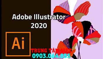 Hổ Trợ Cài đặt Adobe Illustrator Dùng Vĩnh Viễn